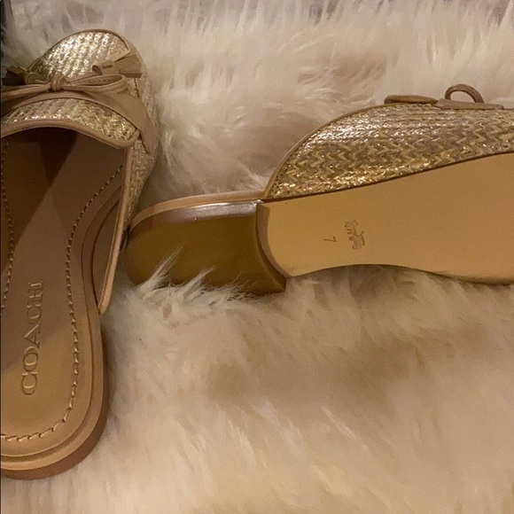 Coach slides - Picture 2 of 2